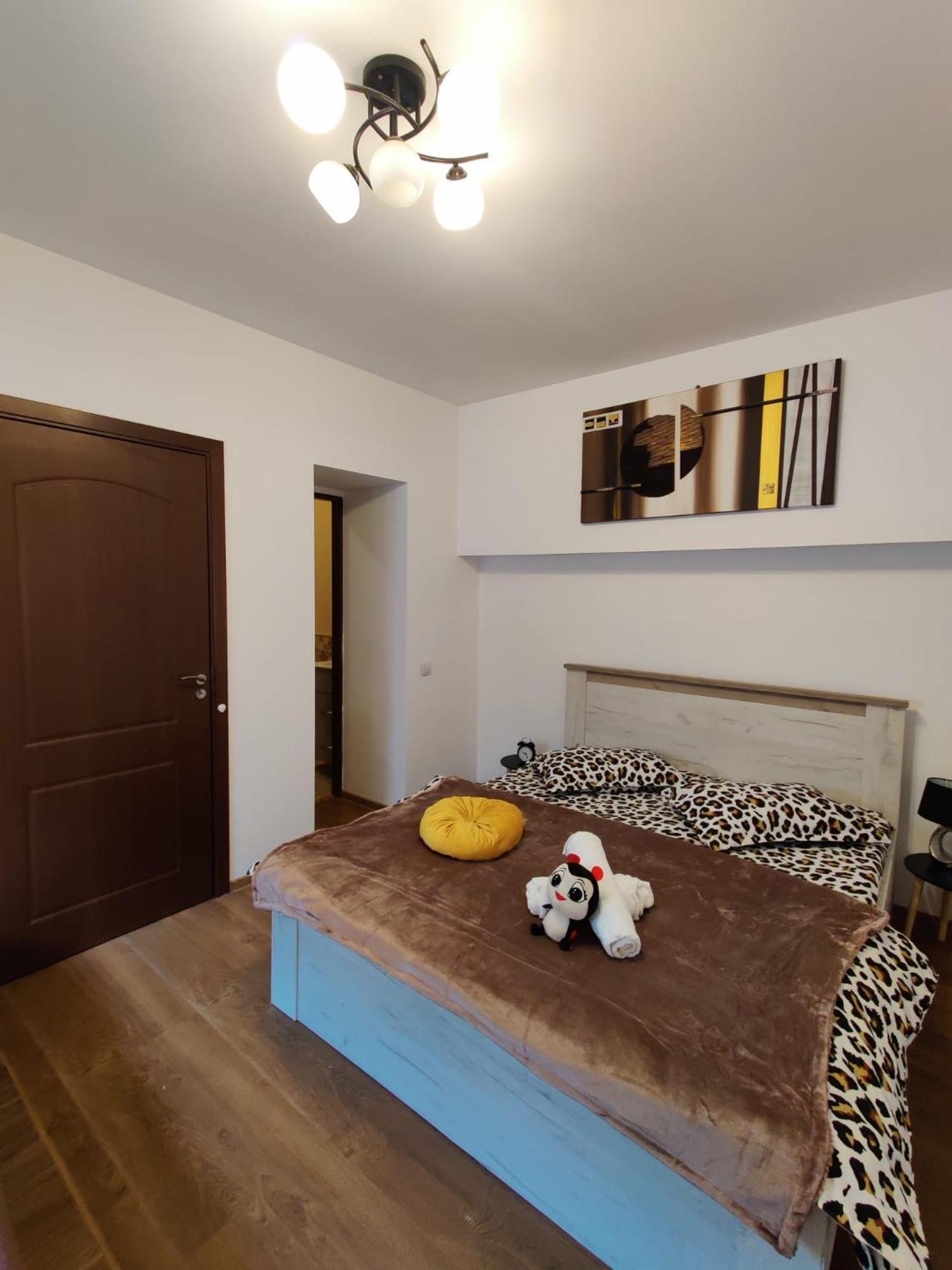 New Residence Брашов Екстер'єр фото
