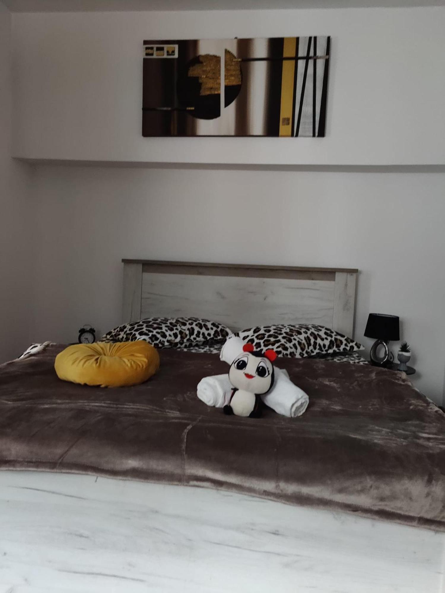 New Residence Брашов Екстер'єр фото