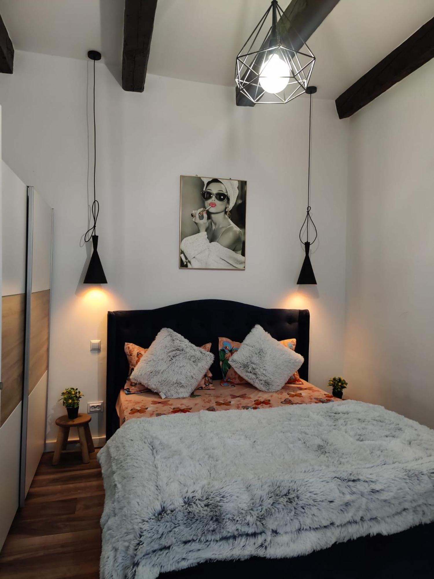 New Residence Брашов Екстер'єр фото